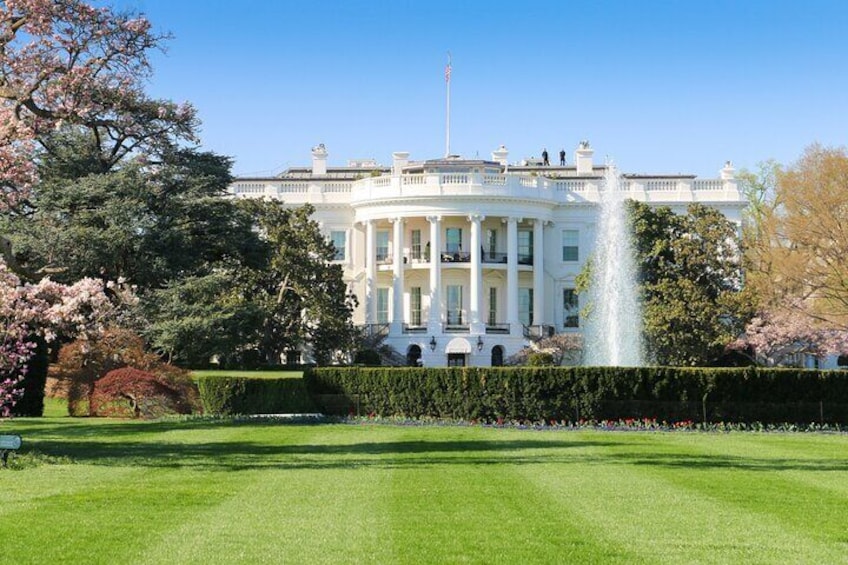 Washington DC Downtown and White House Private Walking Tour
