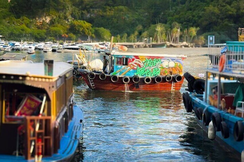 Aberdeen Private Sampan Cruise w/Noodles Lunch