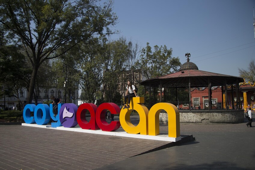 Visit Xochimilco, Coyoacan, and Estadio Azteca
