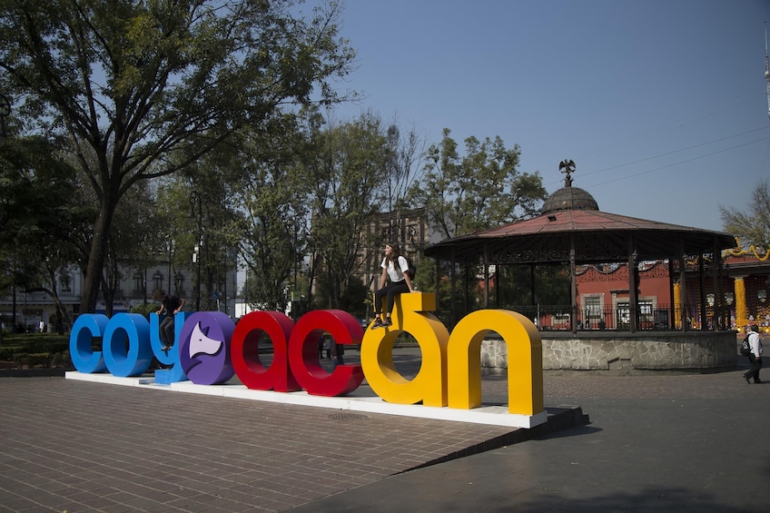 Visit Xochimilco, Coyoacan, and Estadio Azteca