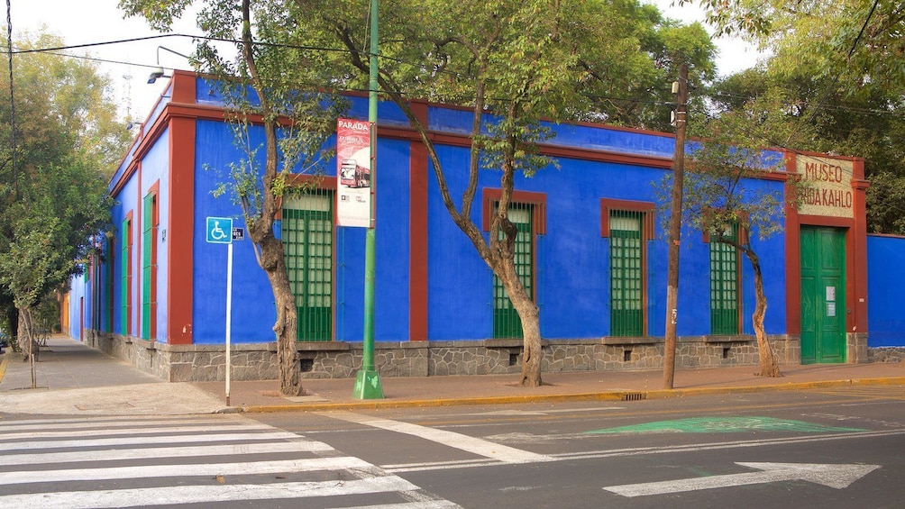 Turitour Frida Kahlo, Coyoacan, Xochimilco, Estadio Azteca