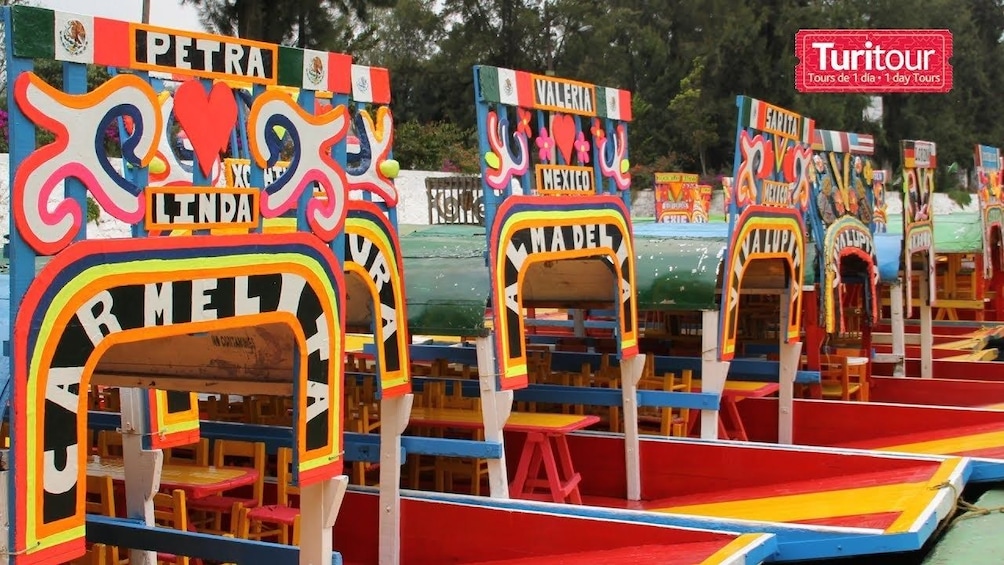 Turitour Frida Kahlo, Coyoacan, Xochimilco, Estadio Azteca