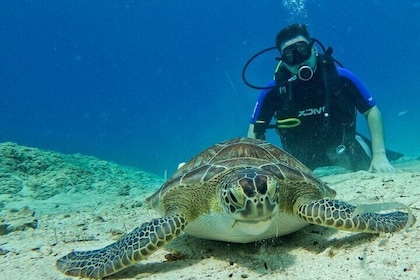 Protaras: Descubre Buceo para principiantes 2 Inmersiones