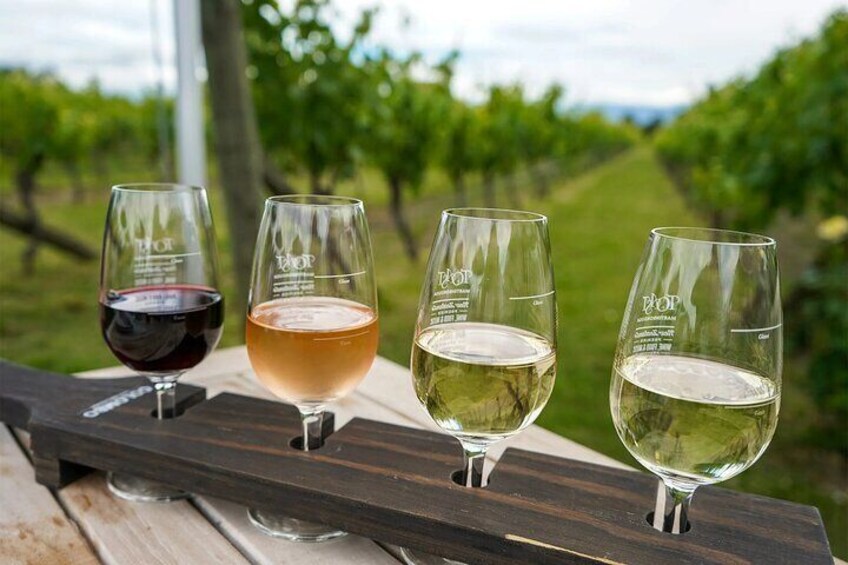 Martinborough Region Day Trip