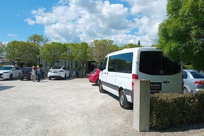 Martinborough Region Day Trip