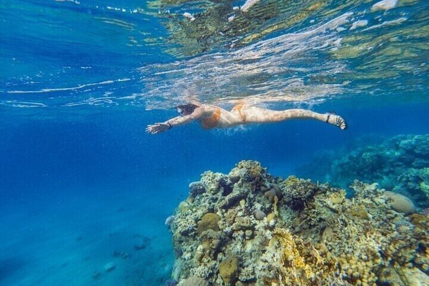 Private Ras Mohamed Half Day Tour with Transfers- Sharm El Sheikh