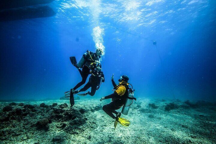 Scuba Diving Experience for Beginners & Lunch - Sharm El Sheikh