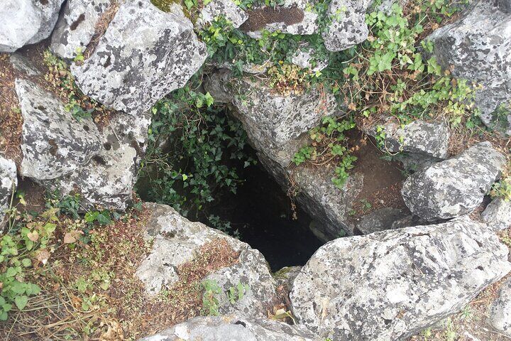 Hippokrene, the sacred spring of Mount Helikon, said to have been created by Pegasus, the winged horse of Bellerophon