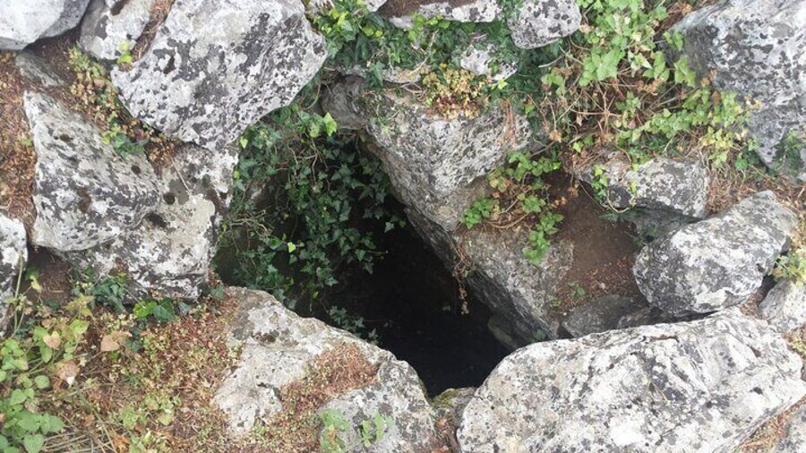 Hippokrene, the sacred spring of Mount Helikon, said to have been created by Pegasus, the winged horse of Bellerophon