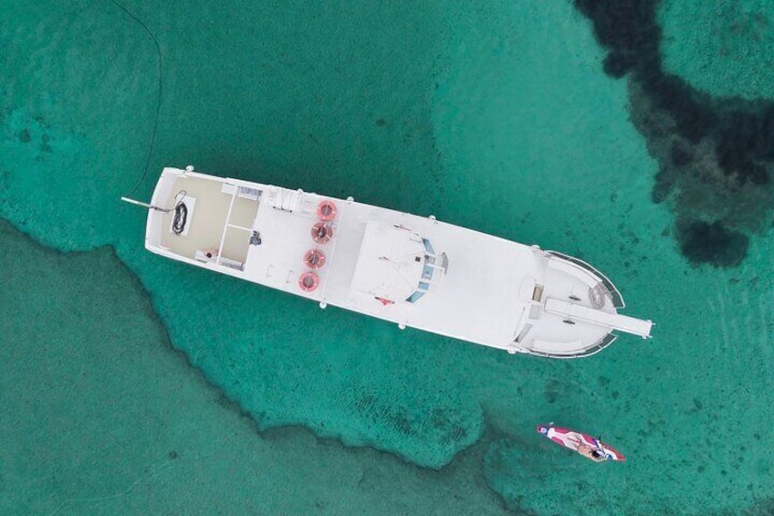 panoramic boat tour