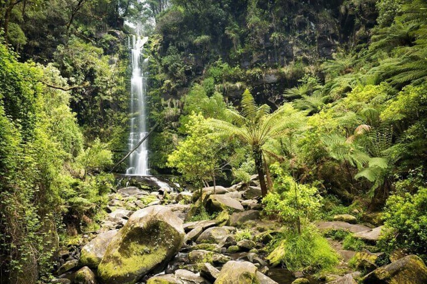 Australia’s Great Ocean Road Self-Guided Driving Audio Tour