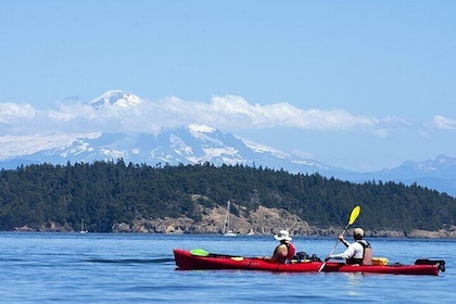 Half Day Kayaking Adventure on Orcas Island
