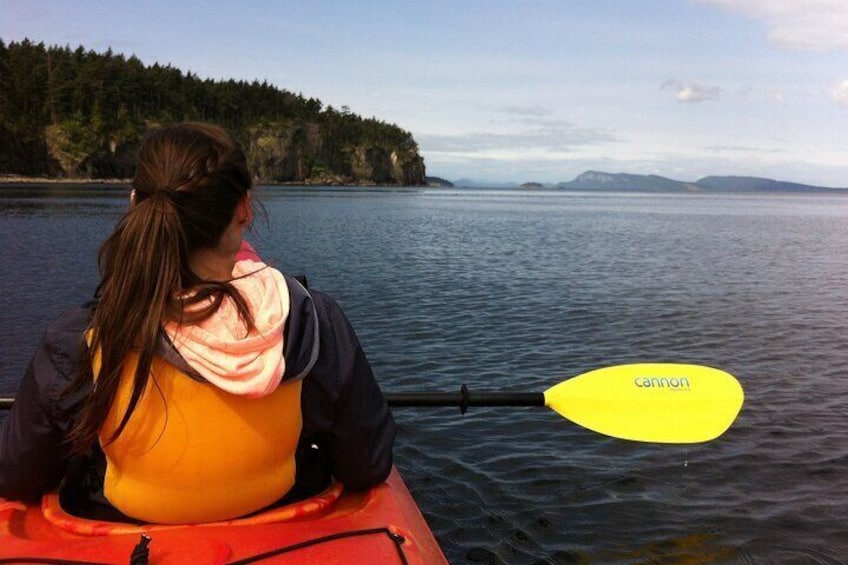 Half Day Kayaking Adventure on Orcas Island