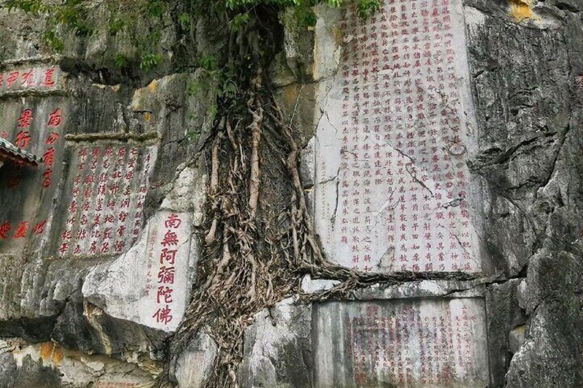 Private Tour from Guangzhou to Seven Star Crags (Qixingyan)