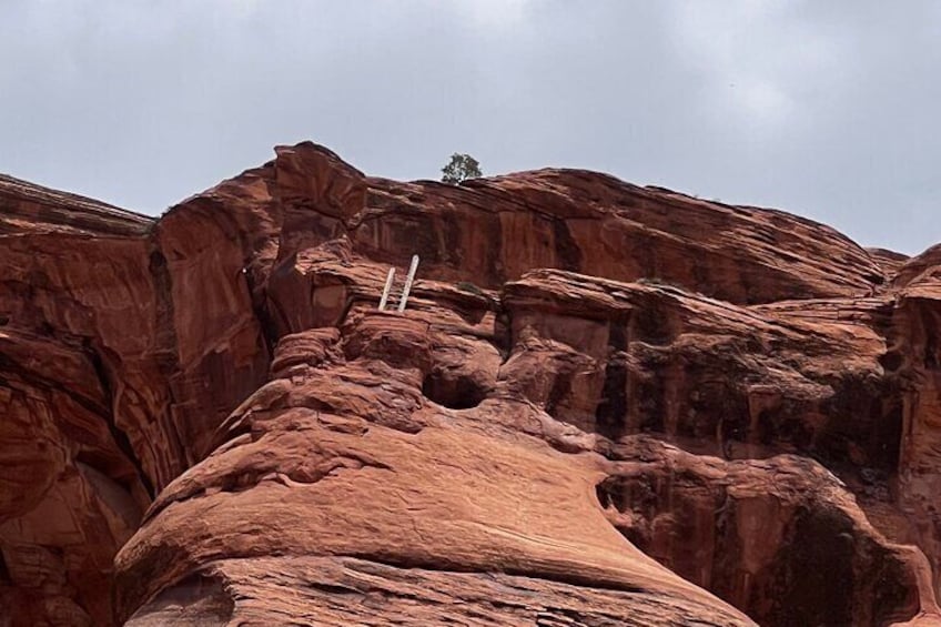Canyon Combo Tours