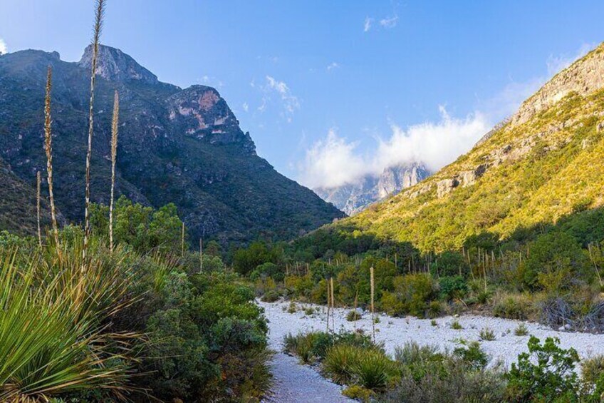 Guadalupe Mountains National Park Self Guided Audio Tour
