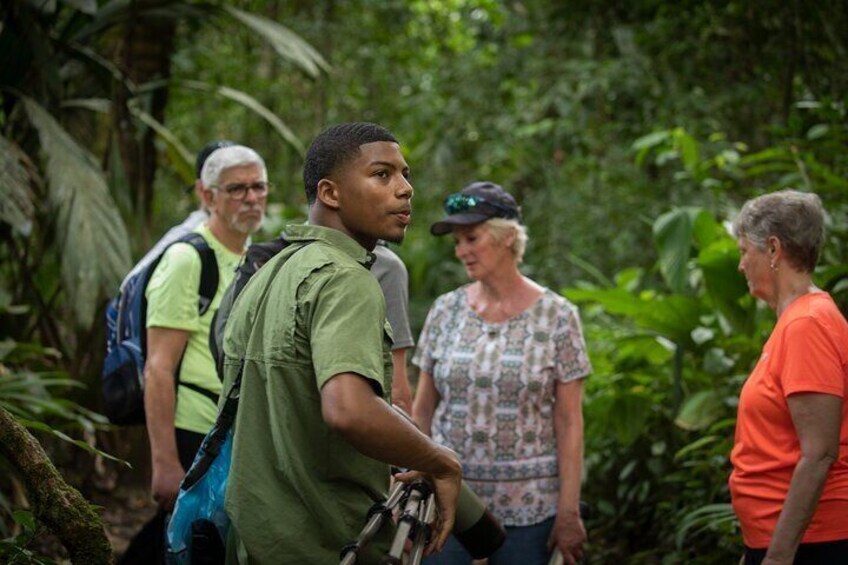Four activities in Tortuguero with Two Breakfasts Included