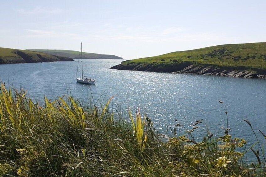 Sandycove Island and view towards Kinsale Harbour.