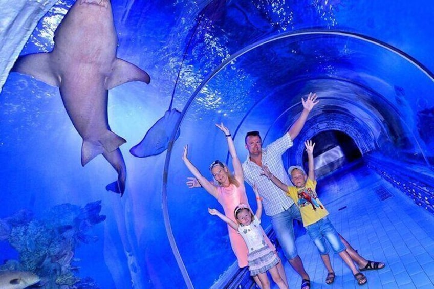 Grand Aquarium Amazing Full Day With transportation - Hurghada