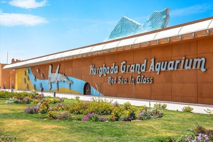 Grand Aquarium Amazing Full Day With transportation - Hurghada
