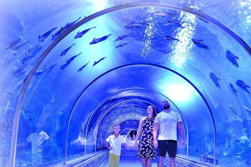Grand Aquarium Amazing Full Day With transportation - Hurghada