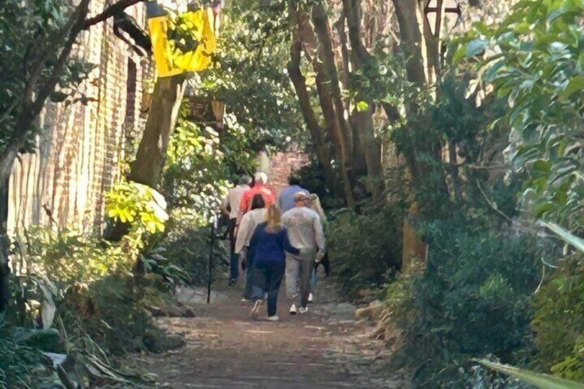 Private Tour and Food Tasting in Charleston