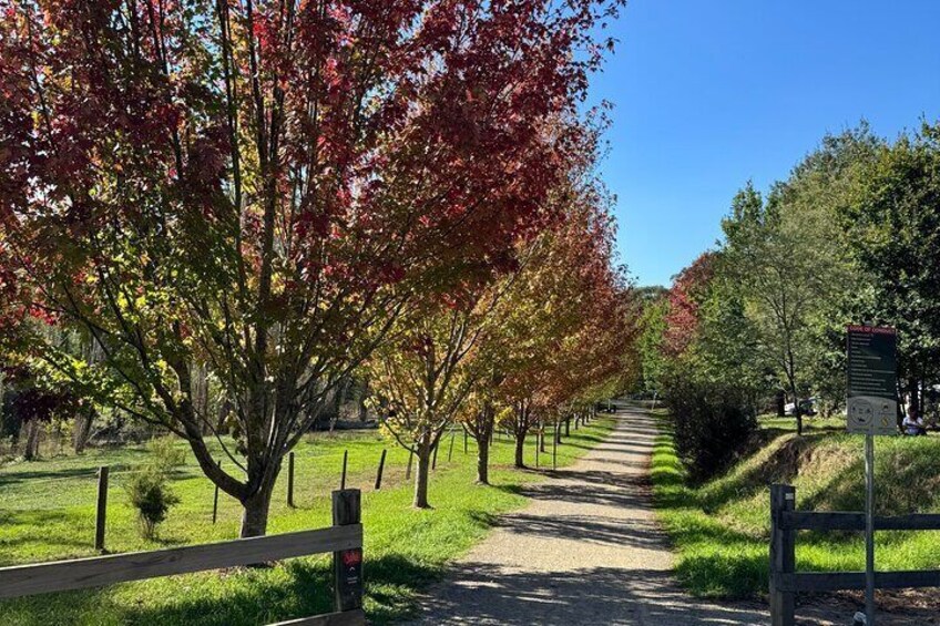 Scenic trails