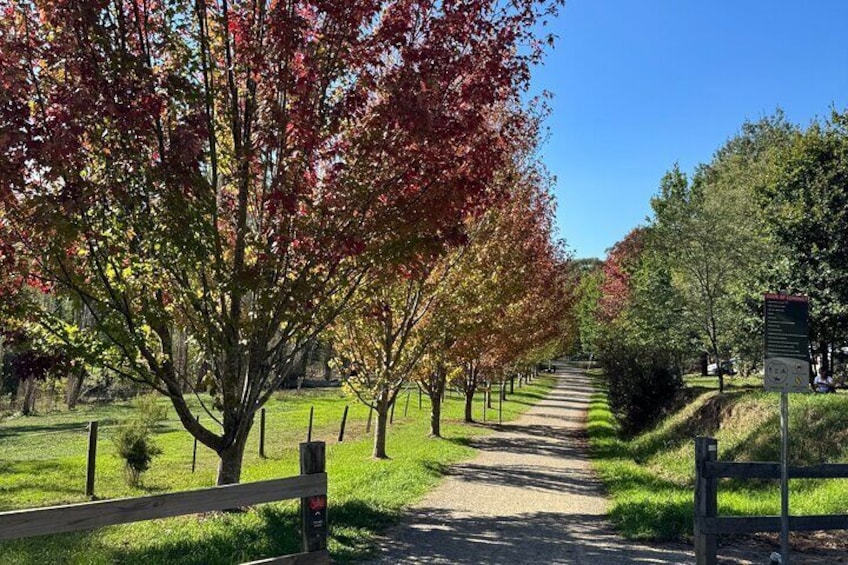 Scenic trails