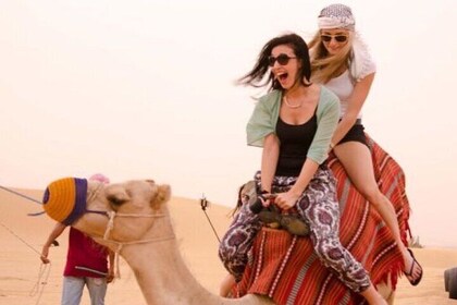 Agadir Camel Riding Tour with Mint tea and Moroccan Cakes