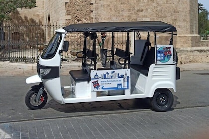 Private TukTuk Tour 2 Hours of Valencia
