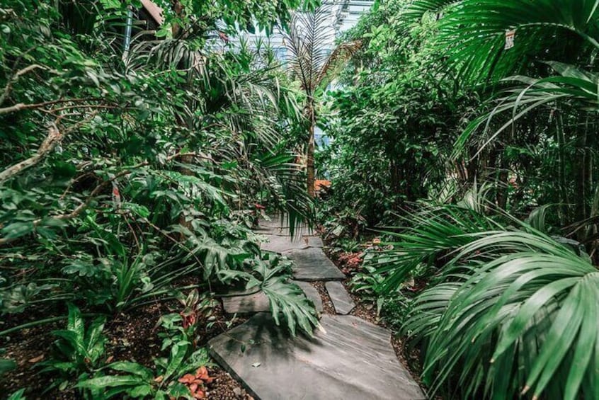 Olivia Garden