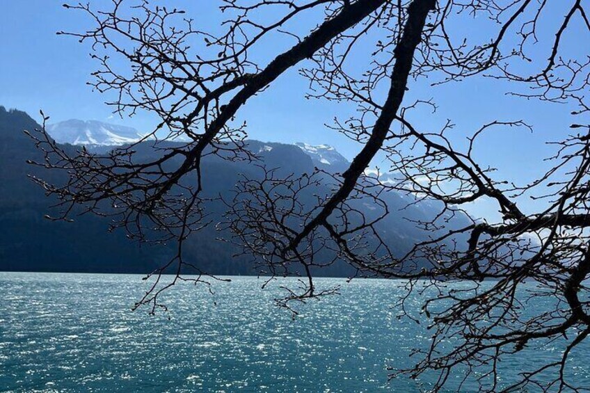 Interlaken Brienz Lauterbrunnen Blausee Tour for 1 to 8 Person