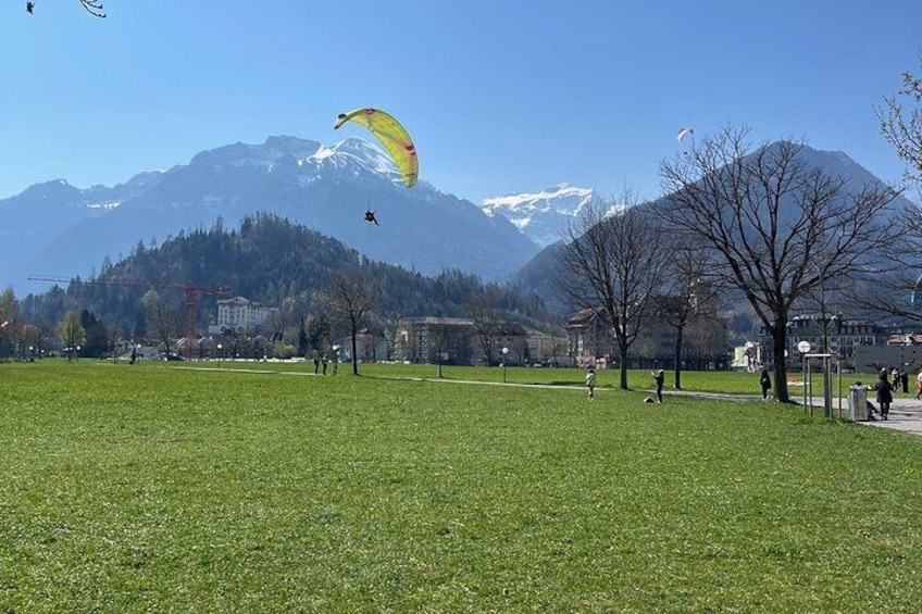 Interlaken Brienz Lauterbrunnen Blausee Tour for 1 to 8 Person