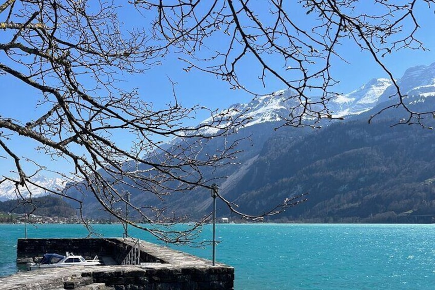 Interlaken Brienz Lauterbrunnen Blausee Tour for 1 to 8 Person