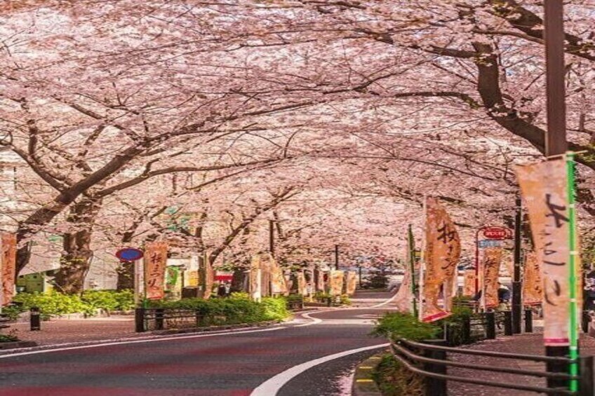 Tokyo Temples and Traditions Private Tour