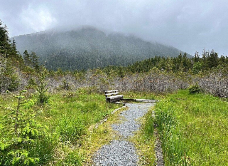 Picture 3 for Activity Guided Hike | TONGASS NATIONAL FOREST
