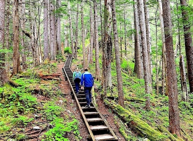 Guided Hike | TONGASS NATIONAL FOREST