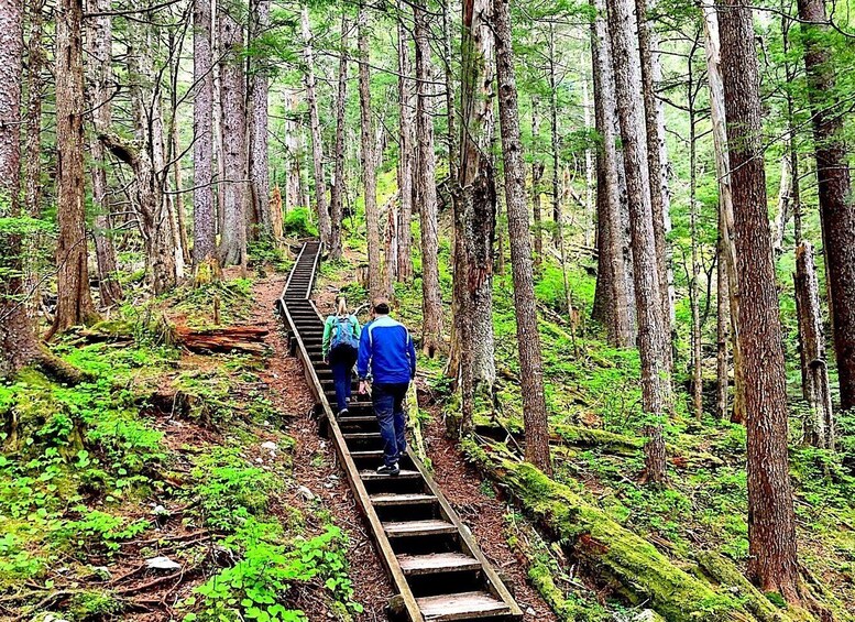 Guided Hike | TONGASS NATIONAL FOREST