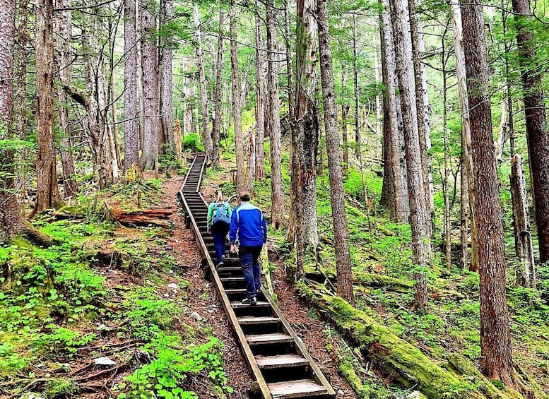 Guided Hike | TONGASS NATIONAL FOREST