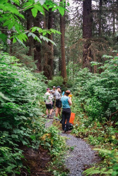 Picture 2 for Activity Guided Hike | TONGASS NATIONAL FOREST