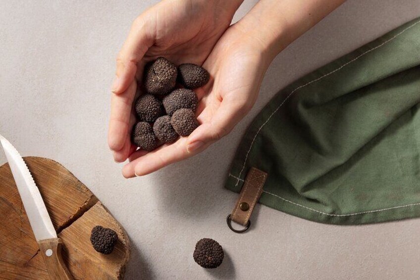  Guided Truffle Hunting Tour from Ljubljana