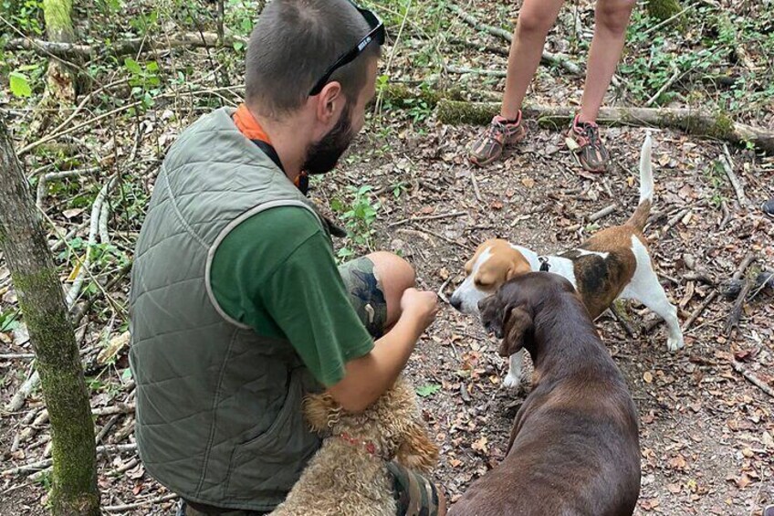 Guided Truffle Hunting Tour from Ljubljana