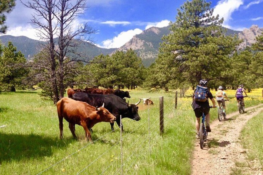 Experience Boulder and Denver Colorado by Mountain Bike!