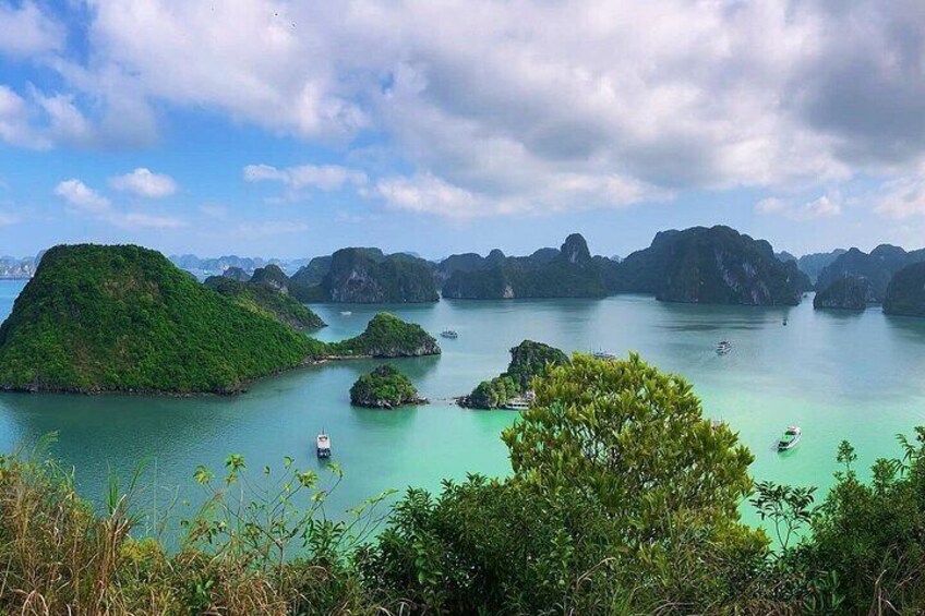 5-Star Pamela Day Cruise in Halong Bay: Scenic Views & Kayaking