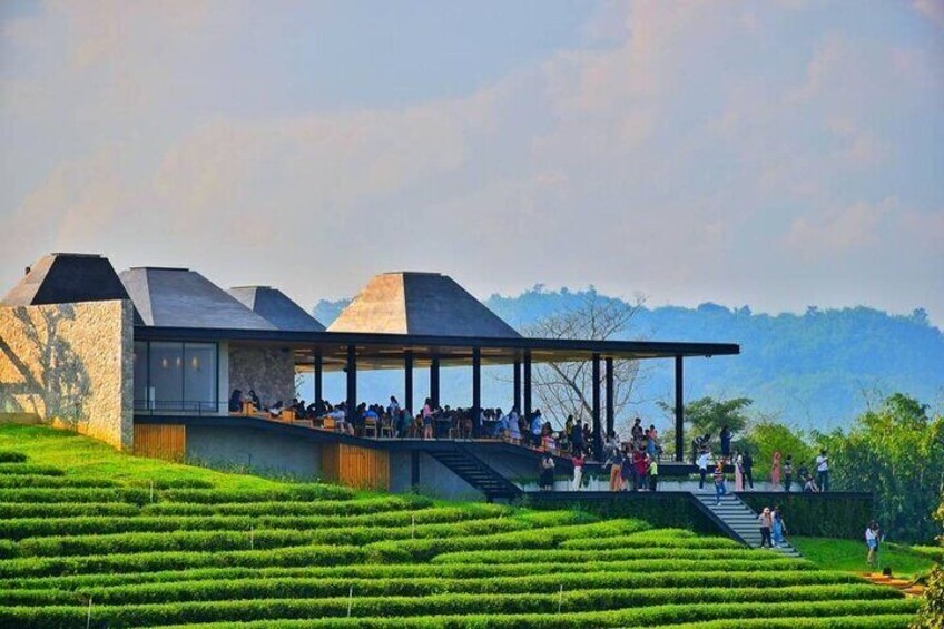 Exclusive Private Tour Experience