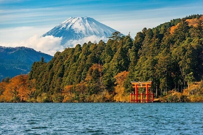 Customisable Private Full Day Hakone Tour from Tokyo