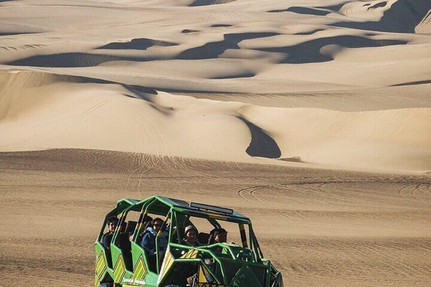 Ballestas Islands and Huacachina with Buggies and Sandboard from Lima