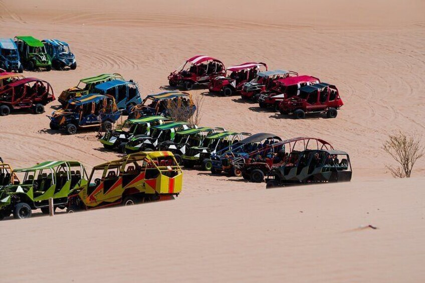 Ballestas Islands and Huacachina with Buggies and Sandboard from Lima
