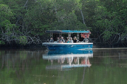 Boottocht door de Tamarindo-monding