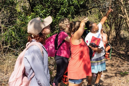 Miradores de Huatulco, Hockey y Snorkel